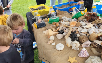 Fleurieu Marine Education Interactive Stall – Yankalilla Show